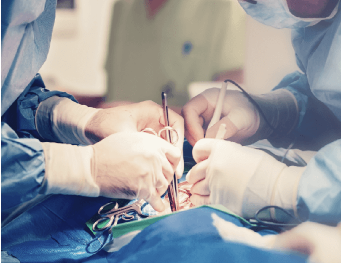 Surgeons